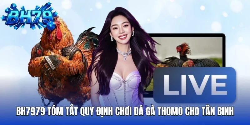 BH7979 tóm tắt quy định chơi đá gà Thomo cho tân binh
