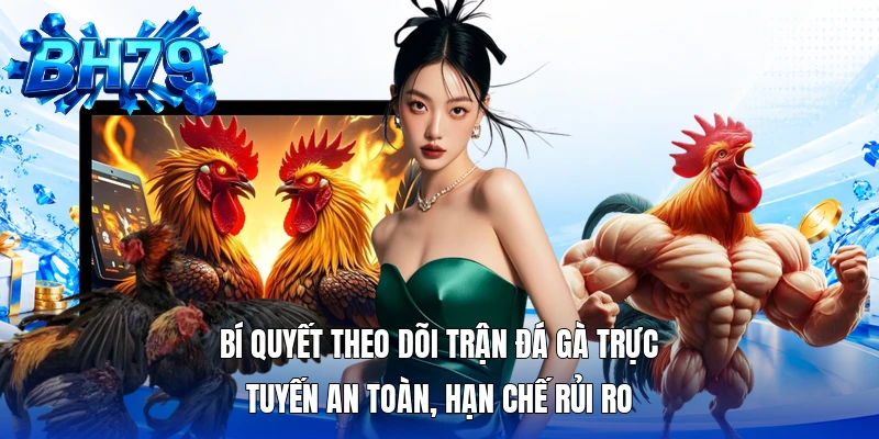 Bí quyết theo dõi trận đá gà trực tuyến an toàn, hạn chế rủi ro