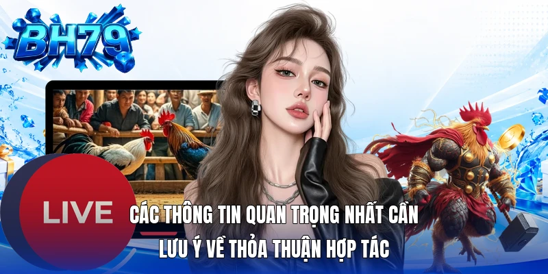 Các thông tin quan trọng nhất cần lưu ý về thỏa thuận hợp tác