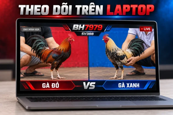 Theo dõi giao diện SV388 trên laptop Theo dõi giao diện SV388 trên laptop