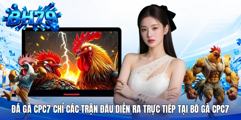 Đá gà CPC7 chỉ các trận đấu diễn ra trực tiếp tại bồ gà CPC7