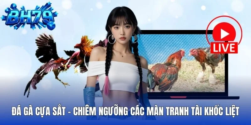 Đá Gà Cựa Sắt Chiêm Ngưỡng Các Màn Tranh Tài Khốc Liệt
