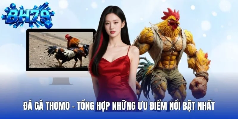 Đá gà Thomo – Tổng hợp những ưu điểm nổi bật nhất
