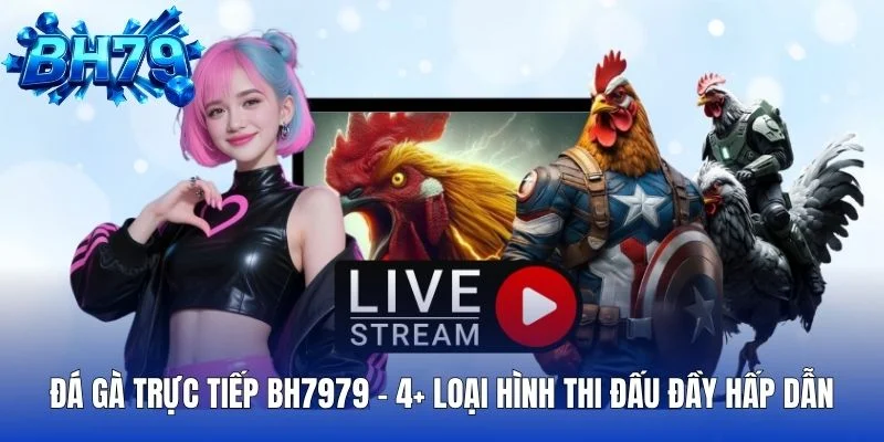 Đá Gà Trực Tiếp BH7979 4 Loại Hình Thi Đấu Đầy Hấp Dẫn