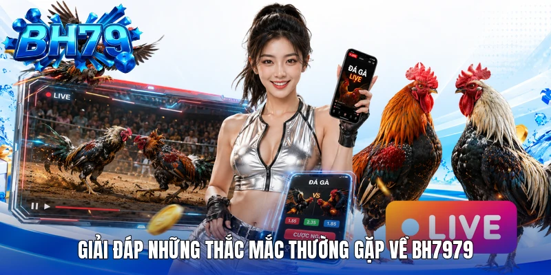 Giải đáp những thắc mắc thường gặp về bh7979 Giải đáp những thắc mắc thường gặp về bh7979