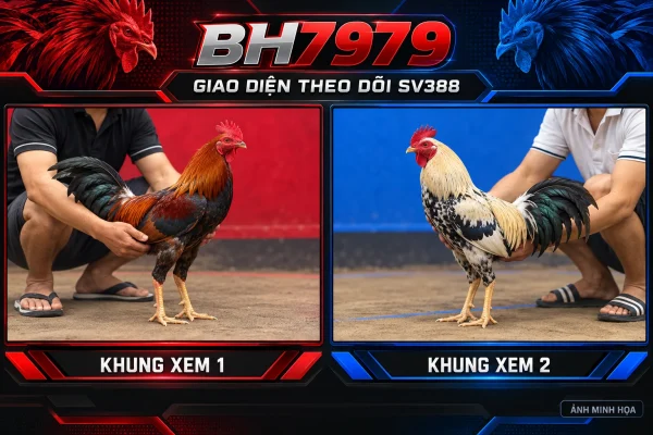 Giao diện hai khung theo dõi — ảnh minh họa BH7979. Giao diện hai khung theo dõi — ảnh minh họa BH7979.