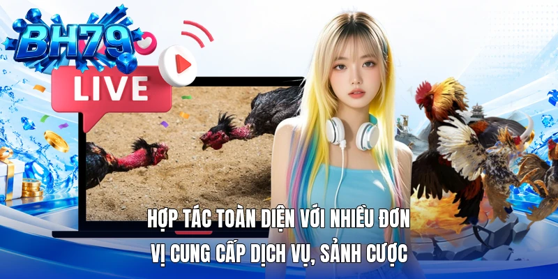 Hợp tác toàn diện với nhiều đơn vị cung cấp dịch vụ, sảnh cược Hợp tác toàn diện với nhiều đơn vị cung cấp dịch vụ, sảnh cược