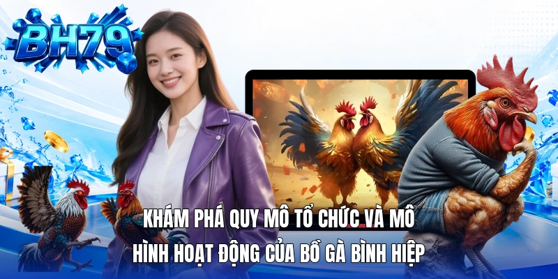 Khám phá quy mô tổ chức và mô hình hoạt động của bồ gà Bình Hiệp