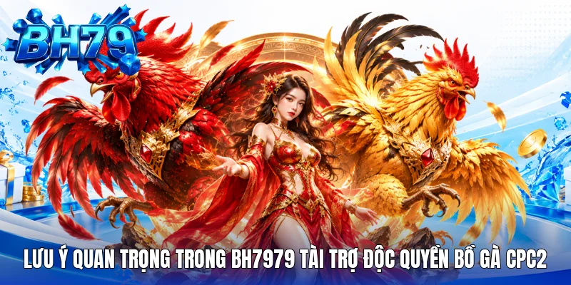 Lưu ý quan trọng trong BH7979 tài trợ độc quyền bồ gà CPC2