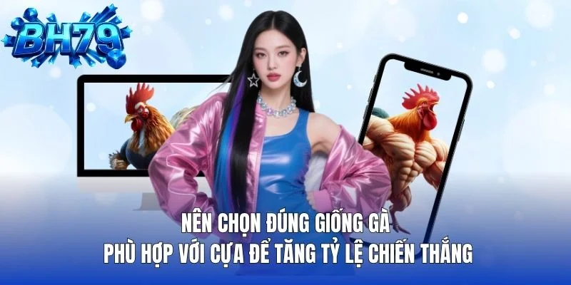 Nên chọn đúng giống gà phù hợp với cựa để tăng tỷ lệ chiến thắng