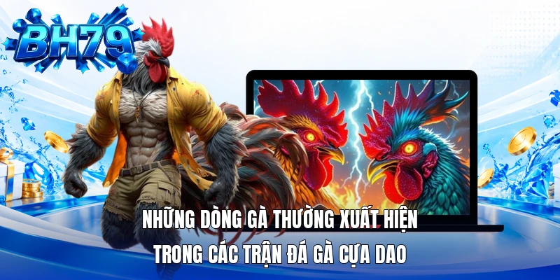 Những dòng gà thường xuất hiện trong các trận đá gà cựa dao