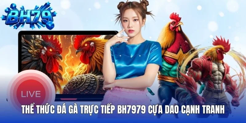 Tổng hợp 4+ thể thức đá gà trực tiếp ấn tượng