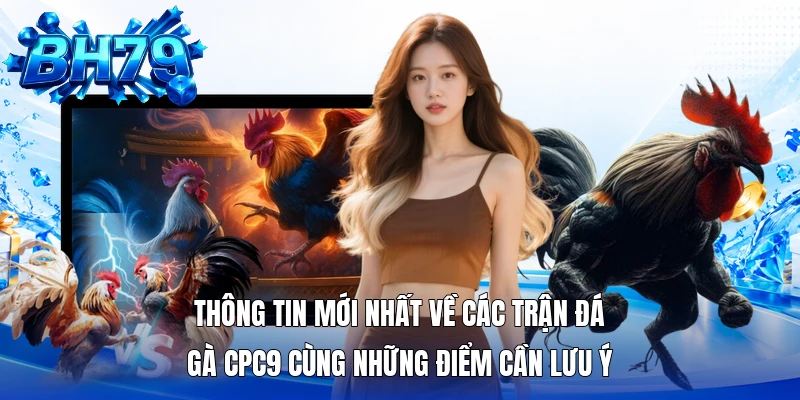 Thông tin mới nhất về các trận đá gà CPC9 cùng những điểm cần lưu ý