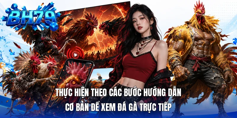 Thực hiện theo các bước hướng dẫn cơ bản để xem đá gà trực tiếp