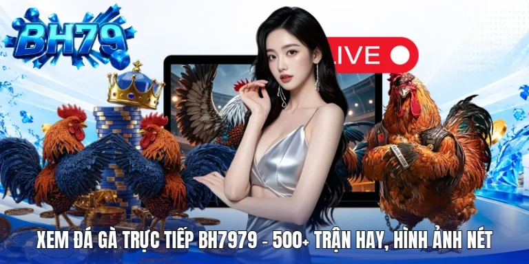 Xem Đá Gà Trực Tiếp BH7979 - 500+ Trận Hay, Hình Ảnh Nét