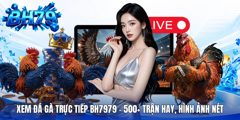Xem Đá Gà Trực Tiếp BH7979 - 500+ Trận Hay, Hình Ảnh Nét