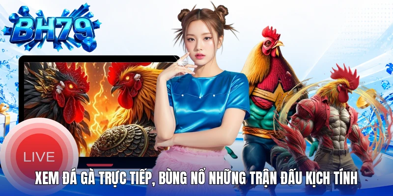 Xem đá gà trực tiếp, bùng nổ những trận đấu kịch tính